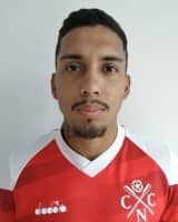 Gremio Novorizontino - Saf-SP