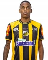 Gremio Novorizontino - Saf-SP