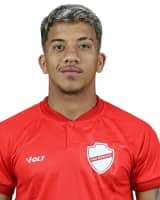 Gremio Novorizontino - Saf-SP