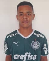 Gremio Novorizontino - Saf-SP