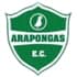 Arapongas Esporte Clube
